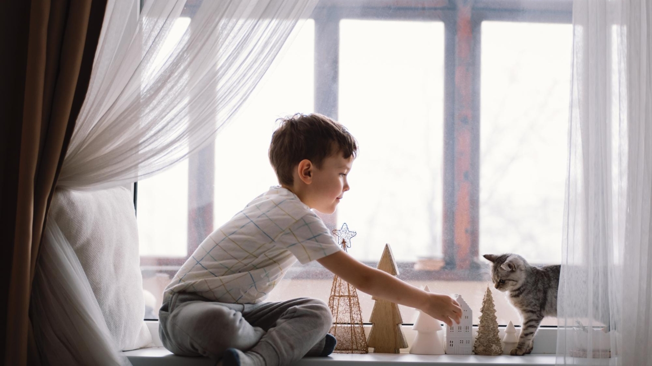 20230425201449_[fpdl.in]_cute-boy-playing-with-kitten-sitting-windowsill-near-window-cozy-home_176445-7593